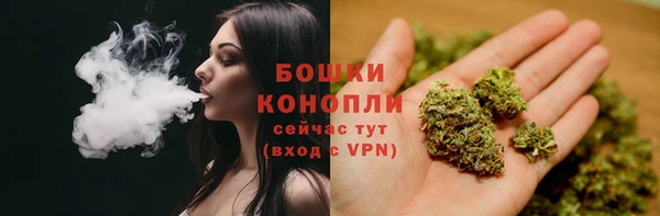 ГАЛЛЮЦИНОГЕННЫЕ ГРИБЫ Михайловка