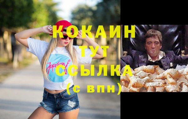 ПСИЛОЦИБИНОВЫЕ ГРИБЫ Вязники