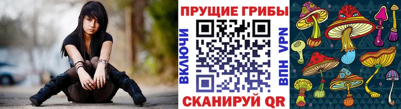 Псилоцибиновые грибы MAGIC MUSHROOMS  Киржач 