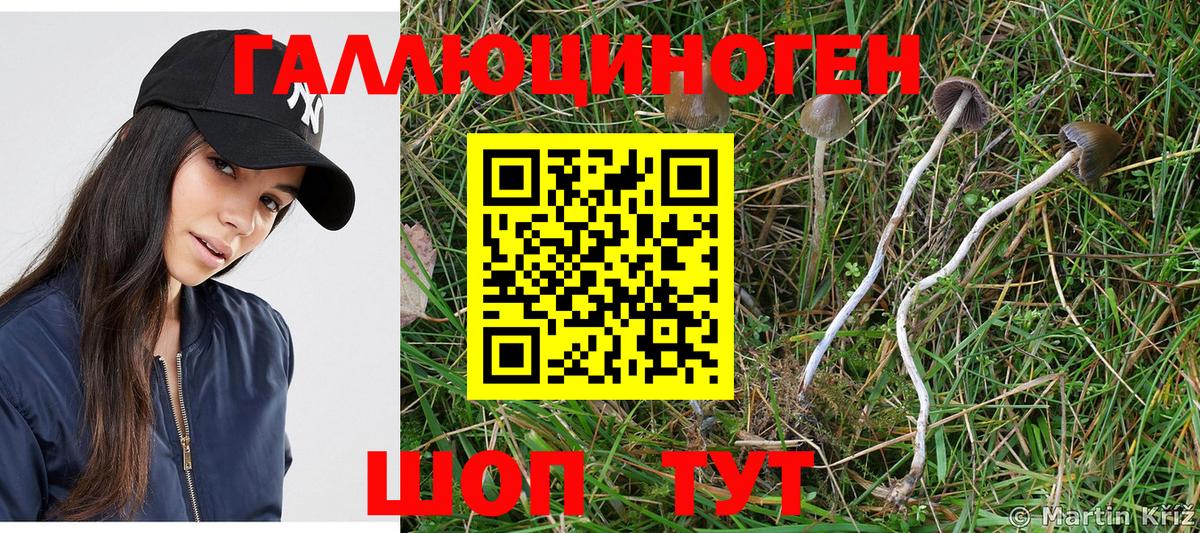 Галлюциногенные грибы GOLDEN TEACHER  где купить   Киржач  Вход с VPN 