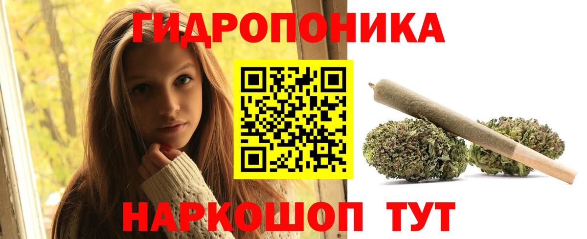 Бошки Шишки план  Вход с VPN  Киржач  Конопля OG Kush 